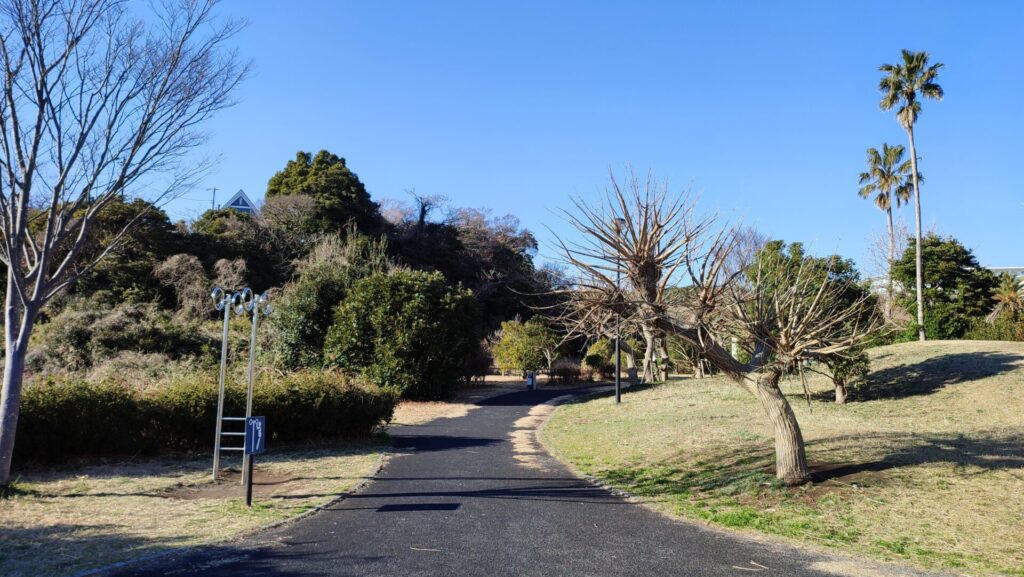 佐島の丘公園の整備された遊歩道