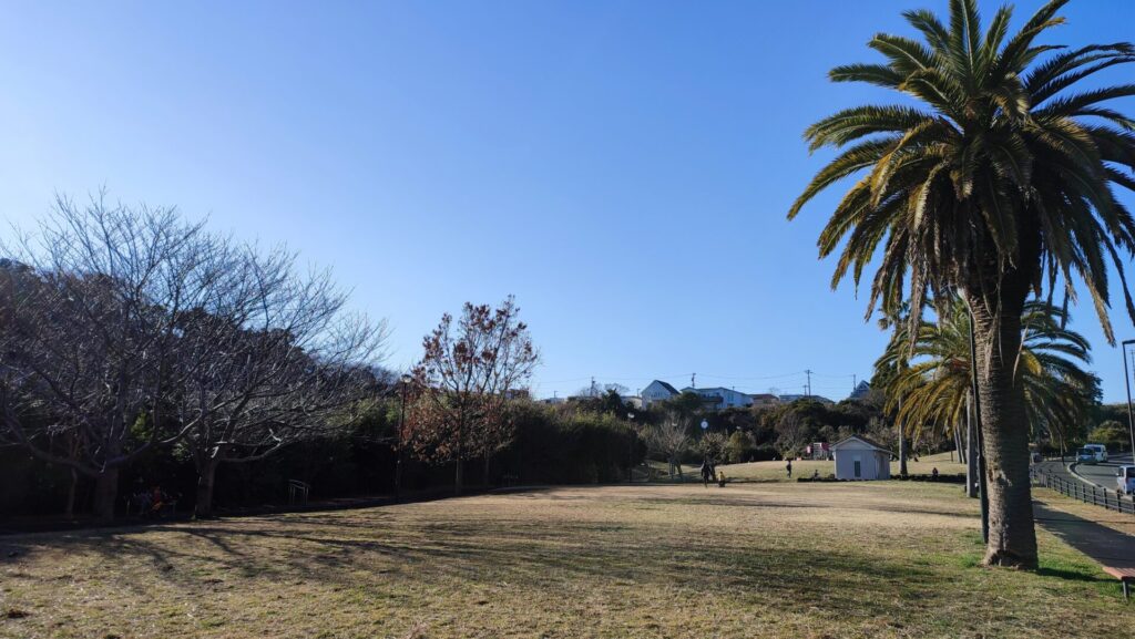 佐島の丘公園の芝生広場　ボール遊びできる