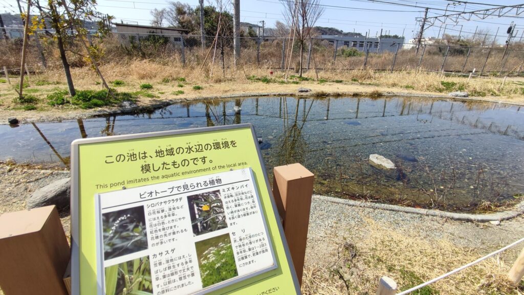 久里浜でんしゃ公園ビオトープを撮影した写真

