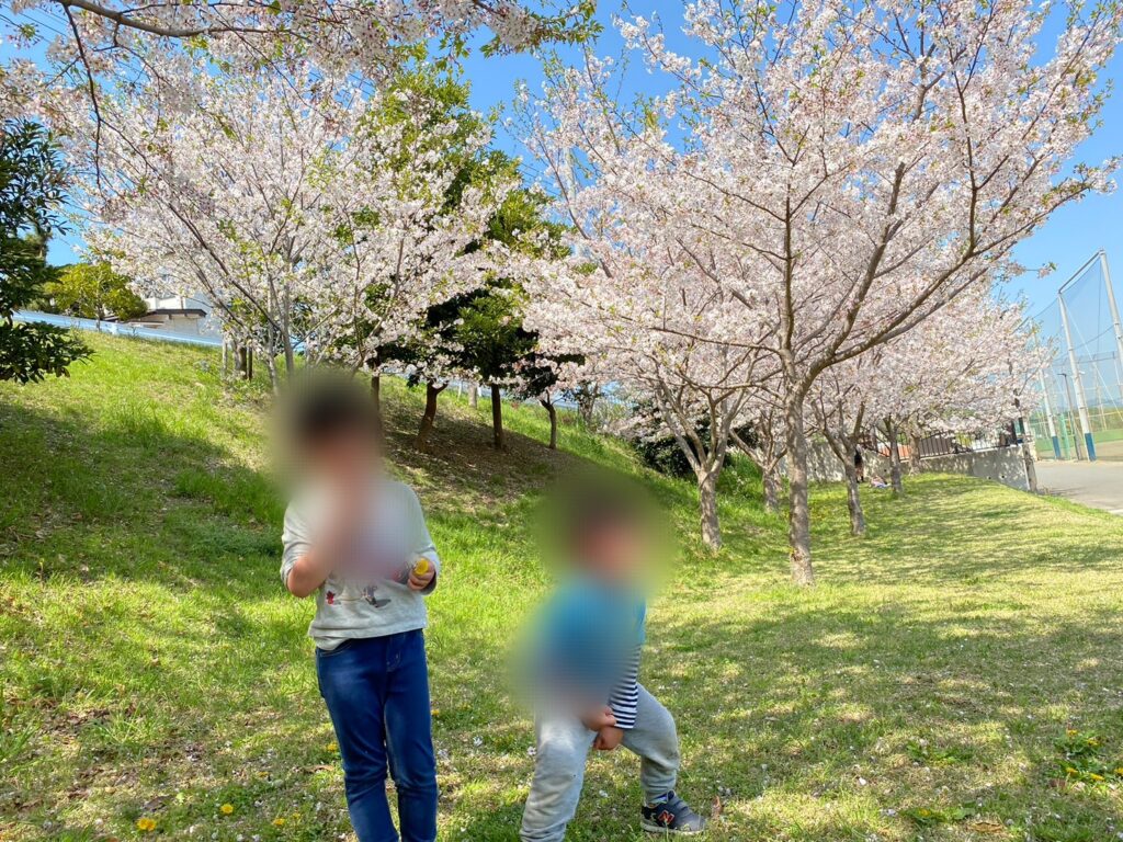 潮風スポーツ公園を撮影した写真