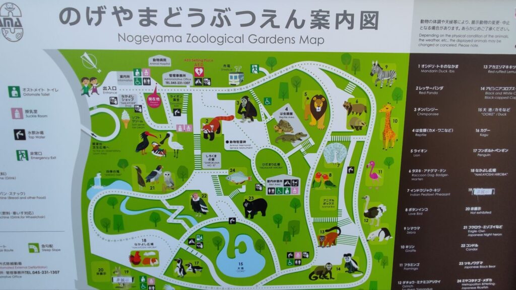 野毛山動物園の経路を撮影した写真