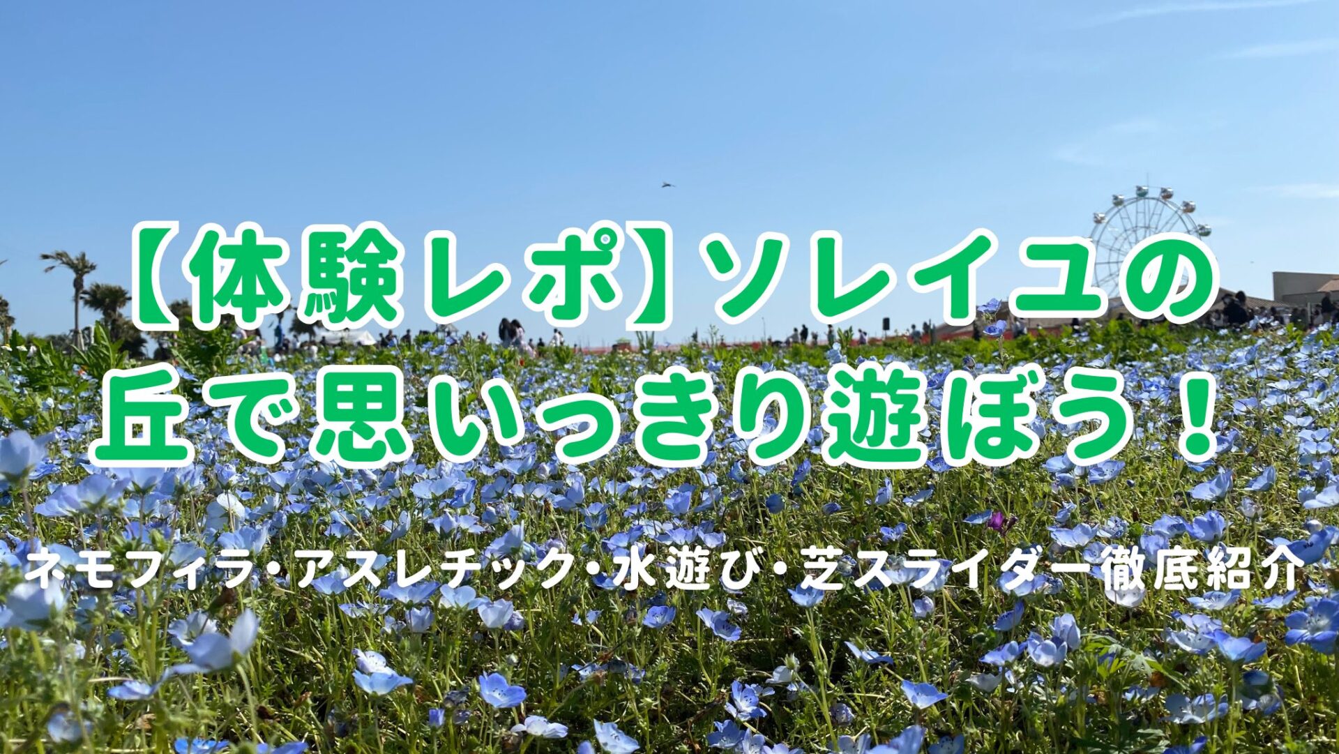 ソレイユの丘体験レポート、芝スライダーのアイキャッチ画像